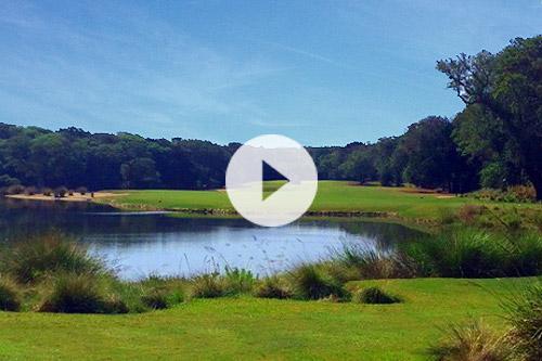 Golf Hole Video