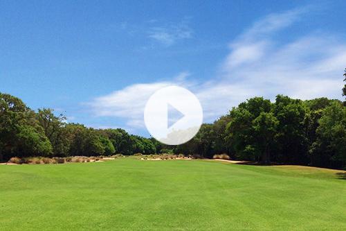Golf Hole Video